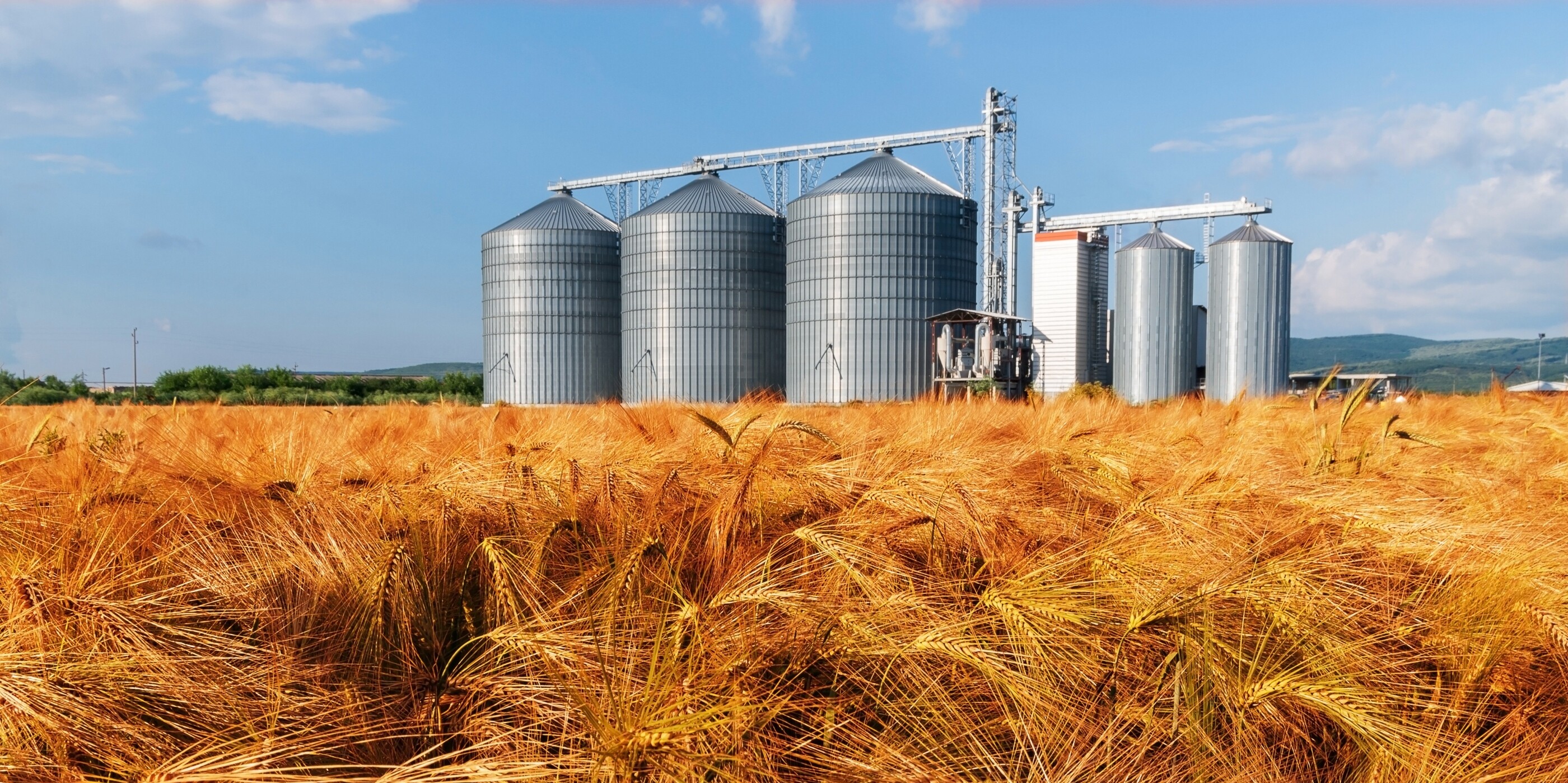 Getreidesilos