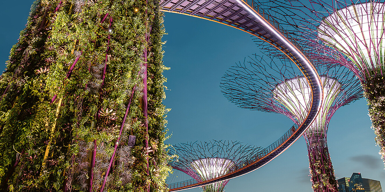 Super Trees Singapur Super Trees Singapur